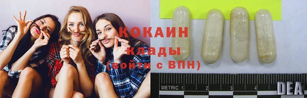 ПСИЛОЦИБИНОВЫЕ ГРИБЫ Балабаново