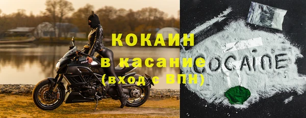ПСИЛОЦИБИНОВЫЕ ГРИБЫ Балабаново