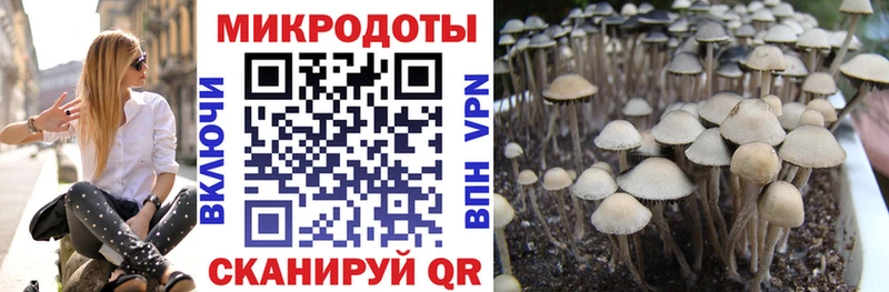 купить   Радужный  Галлюциногенные грибы MAGIC MUSHROOMS 